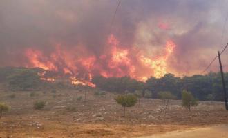 Πυρκαγιά στην Ηλεία