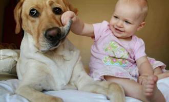 σκυλος και παιδί
