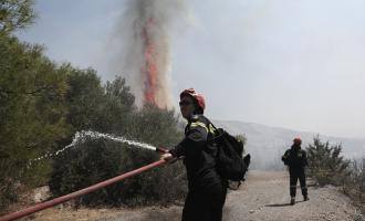 Βρομωπούσι Λαυρεωτικής