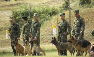 στρατιωτικοί σκύλοι