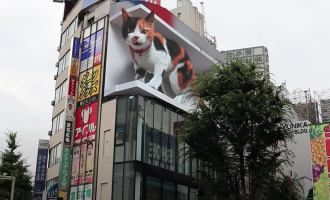 Η γάτα του Τόκυο