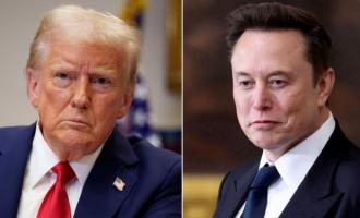 trump musk