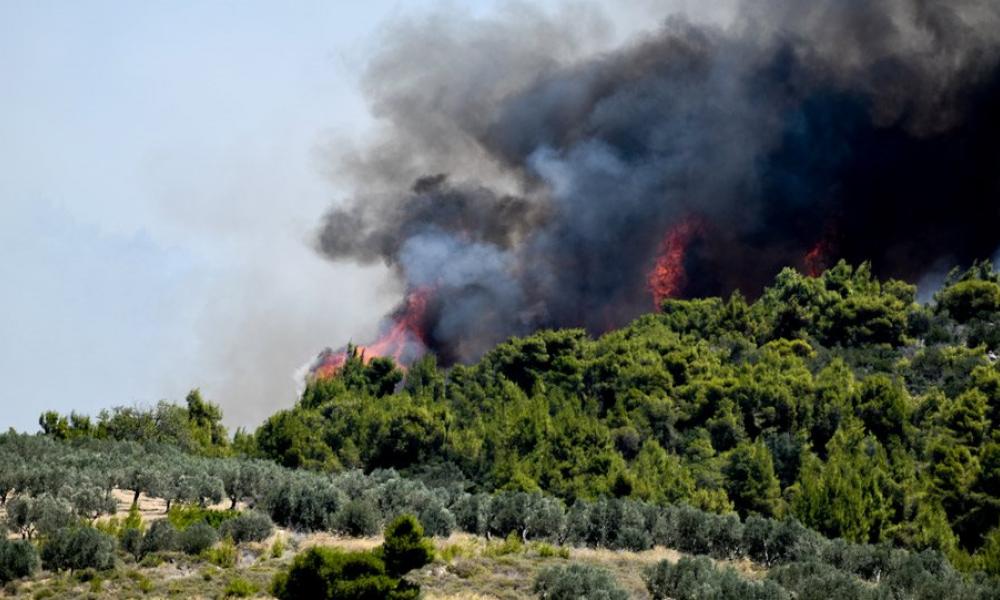 φωτιά στο Σοφικό