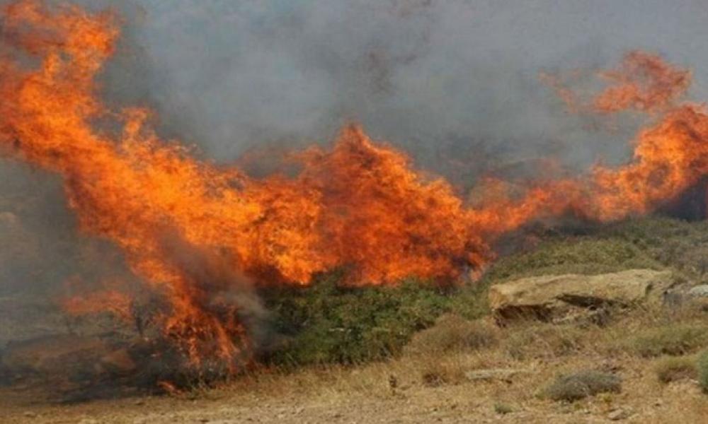  φωτιά στη Θίσβη Βοιωτίας