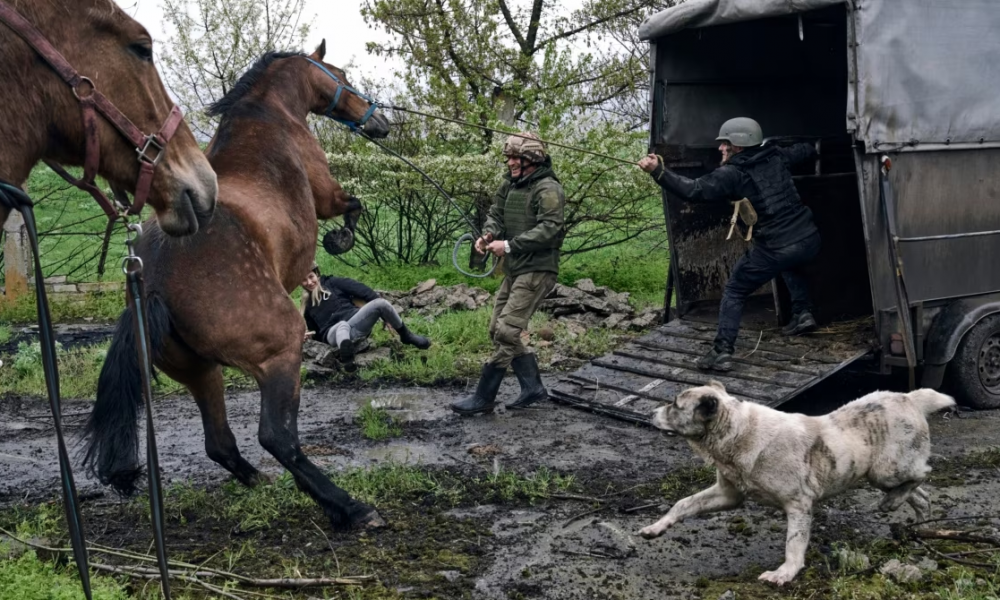 άλογα του ρωσικού στρατού στην Ουκρανία