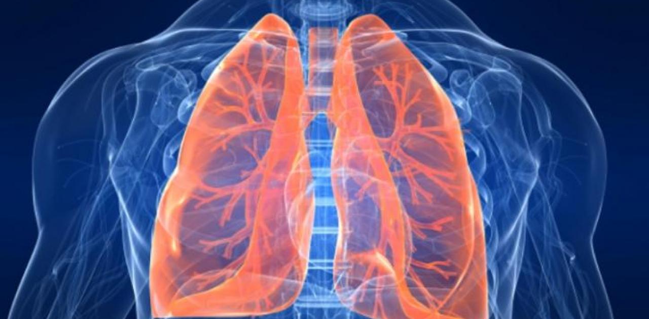 Lung Cancer: The herb that “inhibits” the proliferation of cancer cells